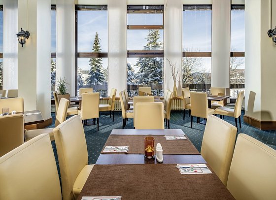 AHORN Waldhotel Altenberg