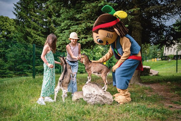 AHORN Waldhotel Altenberg