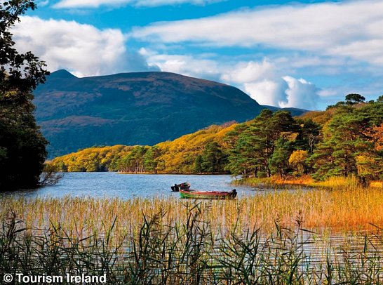 Höhepunkte rund um Killarney plus