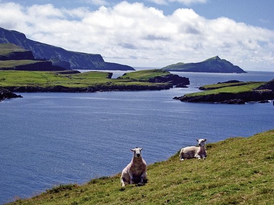 Höhepunkte rund um Killarney plus