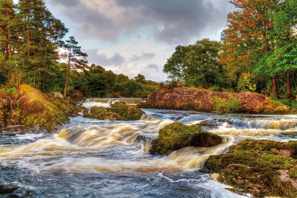 Irische Highlights - Killarney Nationalpark