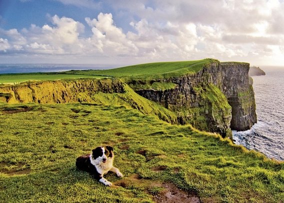 Irische Highlights - Cliffs of Moher