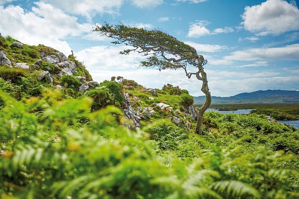 Naturschönheiten Irlands - Connemara Nationalpark
