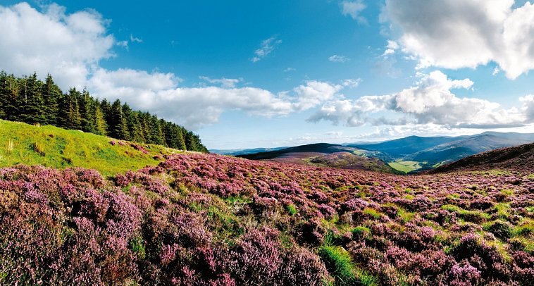 Naturschönheiten Irlands - Wicklow Mountains