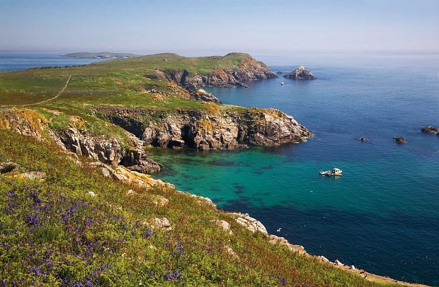 Familienerlebnistour Irland - Saltee Islands