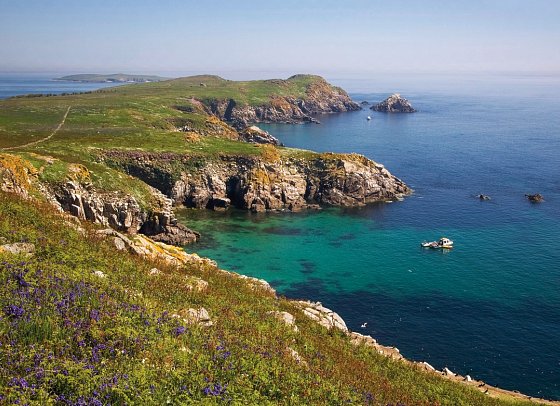 Familienerlebnistour Irland - Saltee Islands