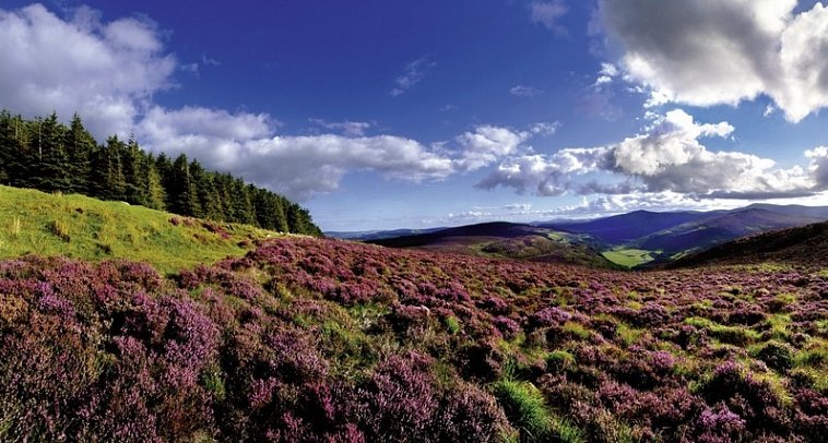 Roadtrip Wild Atlantic Way - Wicklow Mountains