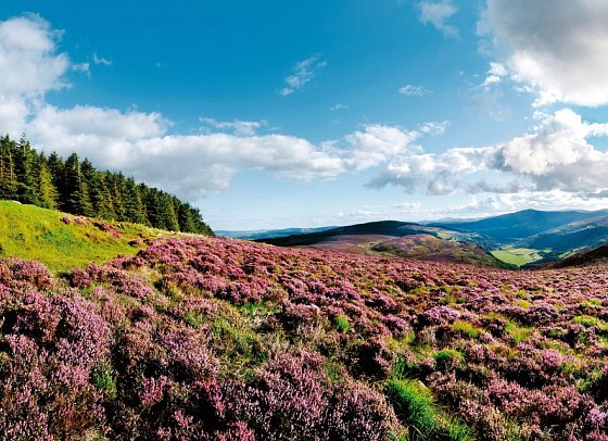 Roadtrip Wild Atlantic Way - Wicklow Mountains