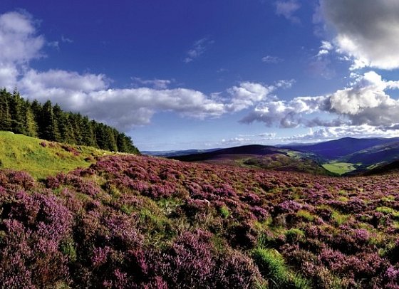 Roadtrip Wild Atlantic Way - Wicklow Mountains