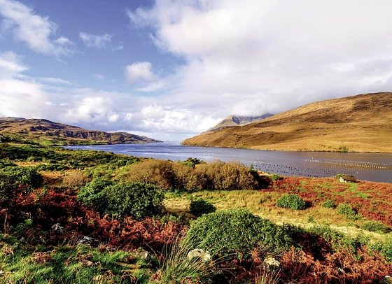 Roadtrip Wild Atlantic Way - Killary Harbour