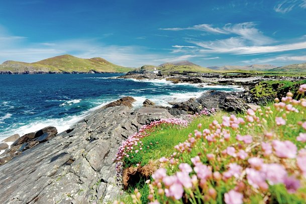 Irland kulinarisch - Ring of Kerry