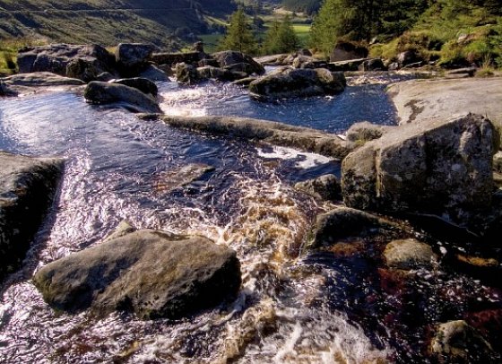 Irland entspannt - Irish National Heritage Park