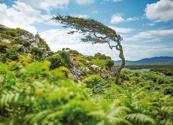 Irland entspannt - Connemara Nationalpark