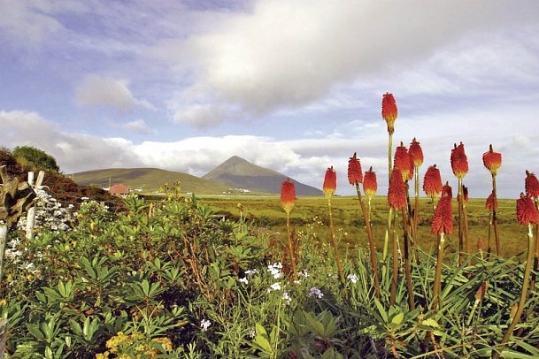 Herrschaftliches Irland - Achill Island