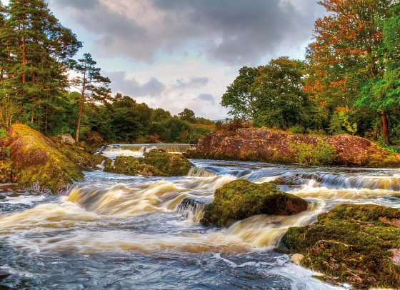 Herrschaftliches Irland - Killarney Nationalpark