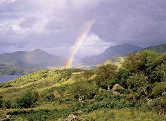Herrschaftliches Irland - Macgillycuddy's Reeks Mountains