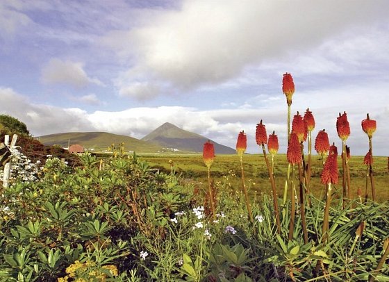 Herrschaftliches Irland - Achill Island