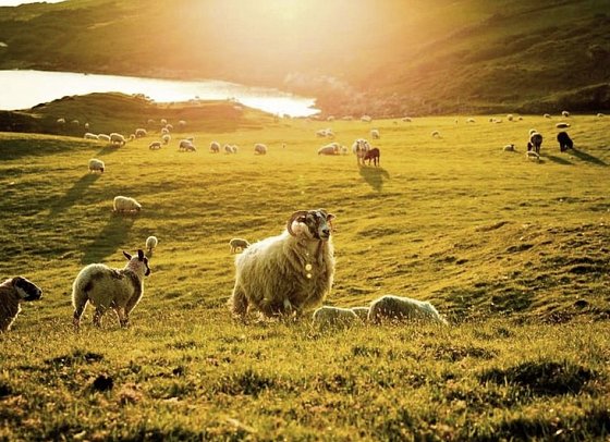 Irlands spektakuläre Küstenstraße - Connemara