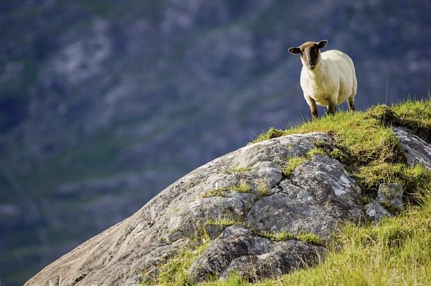 Bahnerlebnisreise Irlands Südwesten