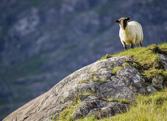 Bahnerlebnisreise Irlands Südwesten