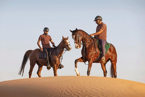 Al Maha, A Luxury Collection Desert Resort & Spa