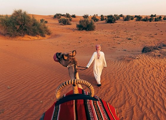 Al Maha, A Luxury Collection Desert Resort & Spa