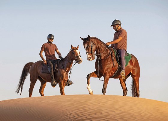 Al Maha, A Luxury Collection Desert Resort & Spa