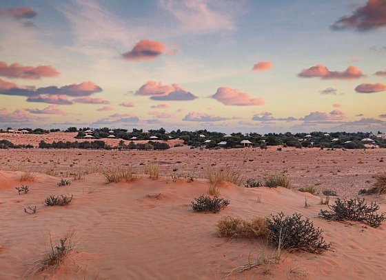 Al Maha, A Luxury Collection Desert Resort & Spa