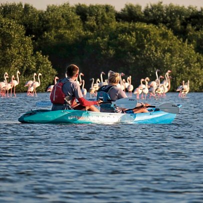 Al Zorah Beach Resort