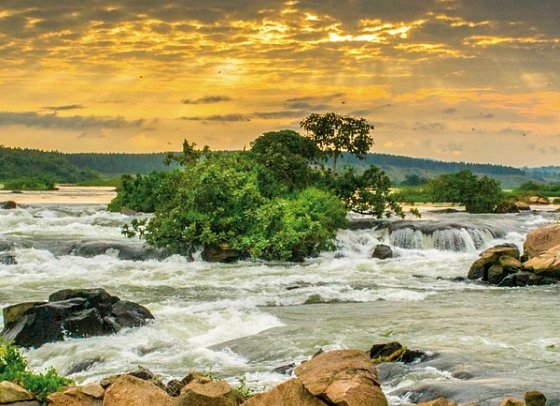 ADAC Special: Naturreise Uganda - Im Land der Berggorillas und Schimpansen - Uganda