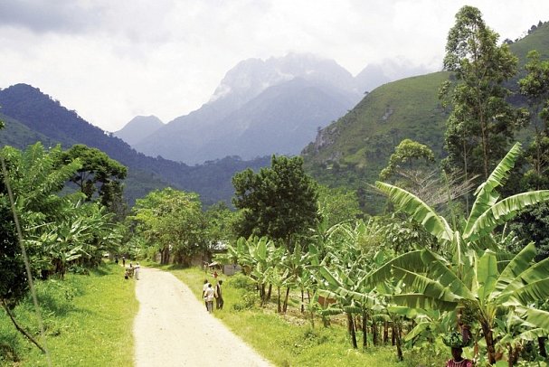 Drifters - Uganda Explorer - Rwenzori Gebirge