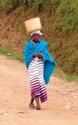 Drifters - Uganda Explorer