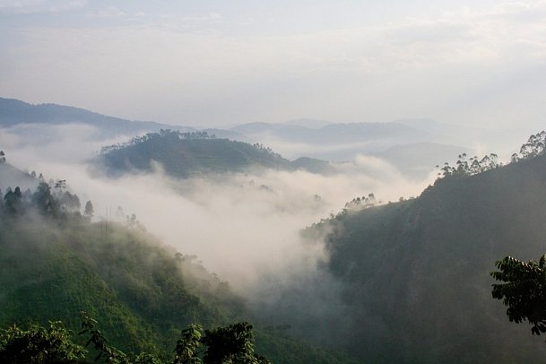 Drifters - Uganda Explorer - Landschaft in Bwindi