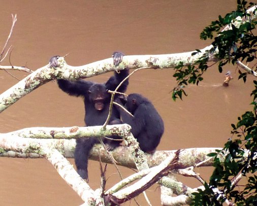 Drifters - Uganda Explorer