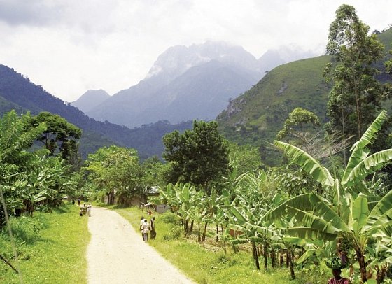 Drifters - Uganda Explorer - Rwenzori Gebirge