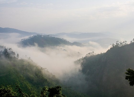 Drifters - Uganda Explorer - Landschaft in Bwindi