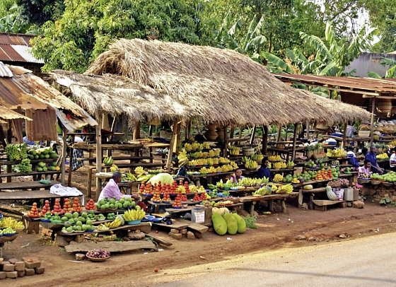 Drifters - Uganda Explorer - Markt, Kampala
