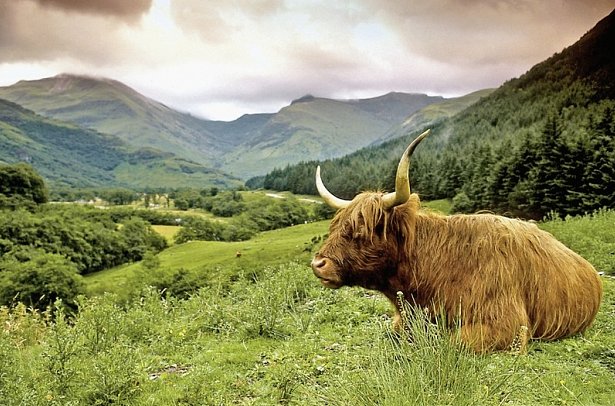 North Coast 500 - Schottlands Route 66 - Highlands