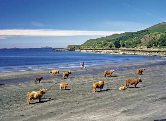 Bahnerlebnisreise Schottland - Loch Tuath, Isle of Mull