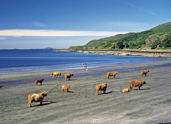 Bahnerlebnisreise Schottland - Loch Tuath, Isle of Mull
