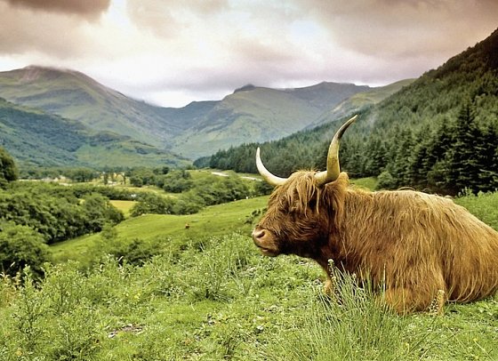 Edinburgh und Glasgow - Zwischen Geschichte und Moderne - Highlands