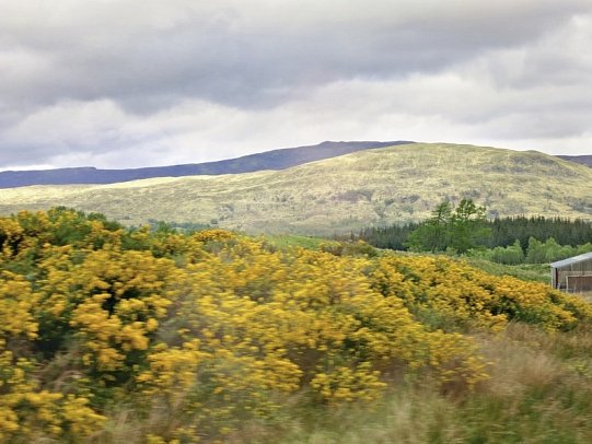 Familienerlebnistour Schottland - Highlands