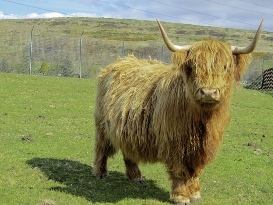Schottlands klassische Rundreise - Städte, Highlands und die Insel Skye