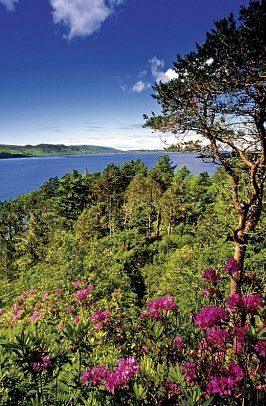 Schottlands klassische Rundreise - Städte, Highlands und die Insel Skye - Inverewe