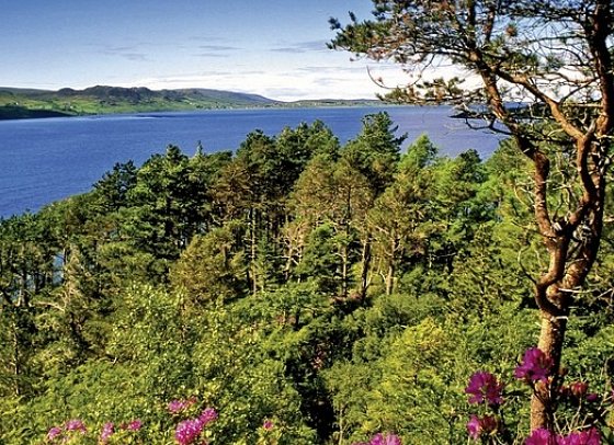 Schottlands klassische Rundreise - Städte, Highlands und die Insel Skye - Inverewe