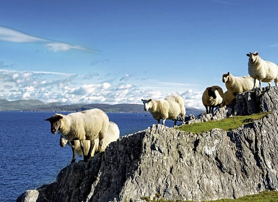 Erlebnis Grüne Inseln - Großbritannien und Irland