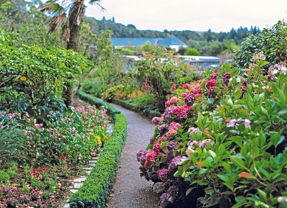 Schottland aktiv erleben - Inverewe Gardens