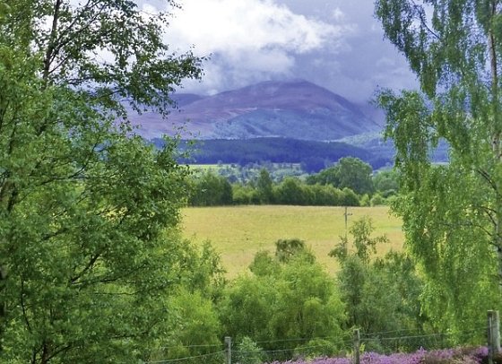 Schottland aktiv erleben - Heidelandschaft Cairngorm NP