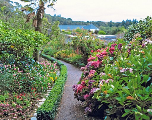 Schottlands faszinierender Inseltraum - Inverewe Gardens