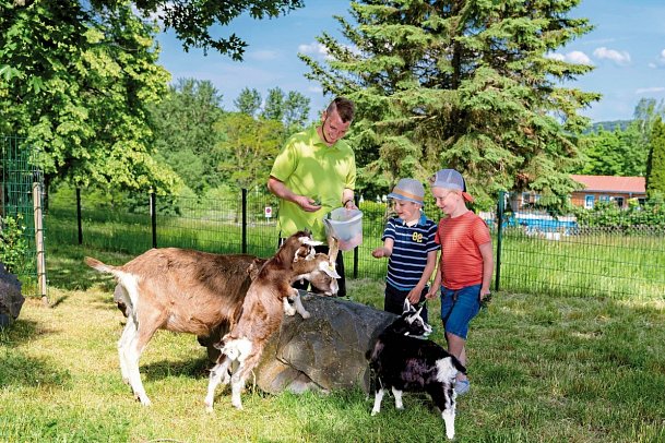 AHORN Berghotel Friedrichroda